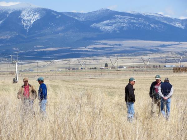 April 2015.  Headwater and Gallatin PF Chapters meet with FWP officials at Canyon Ferry WMA to discuss spring seeding project.